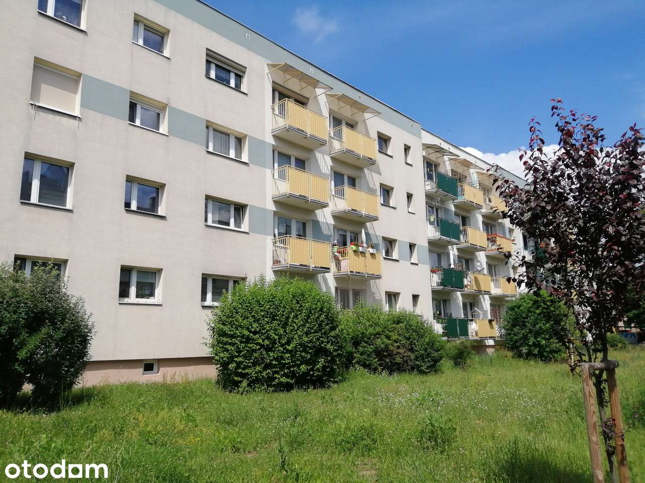 Sprzedam mieszkanie 38m2, 2pokoje z balkonem w centrum