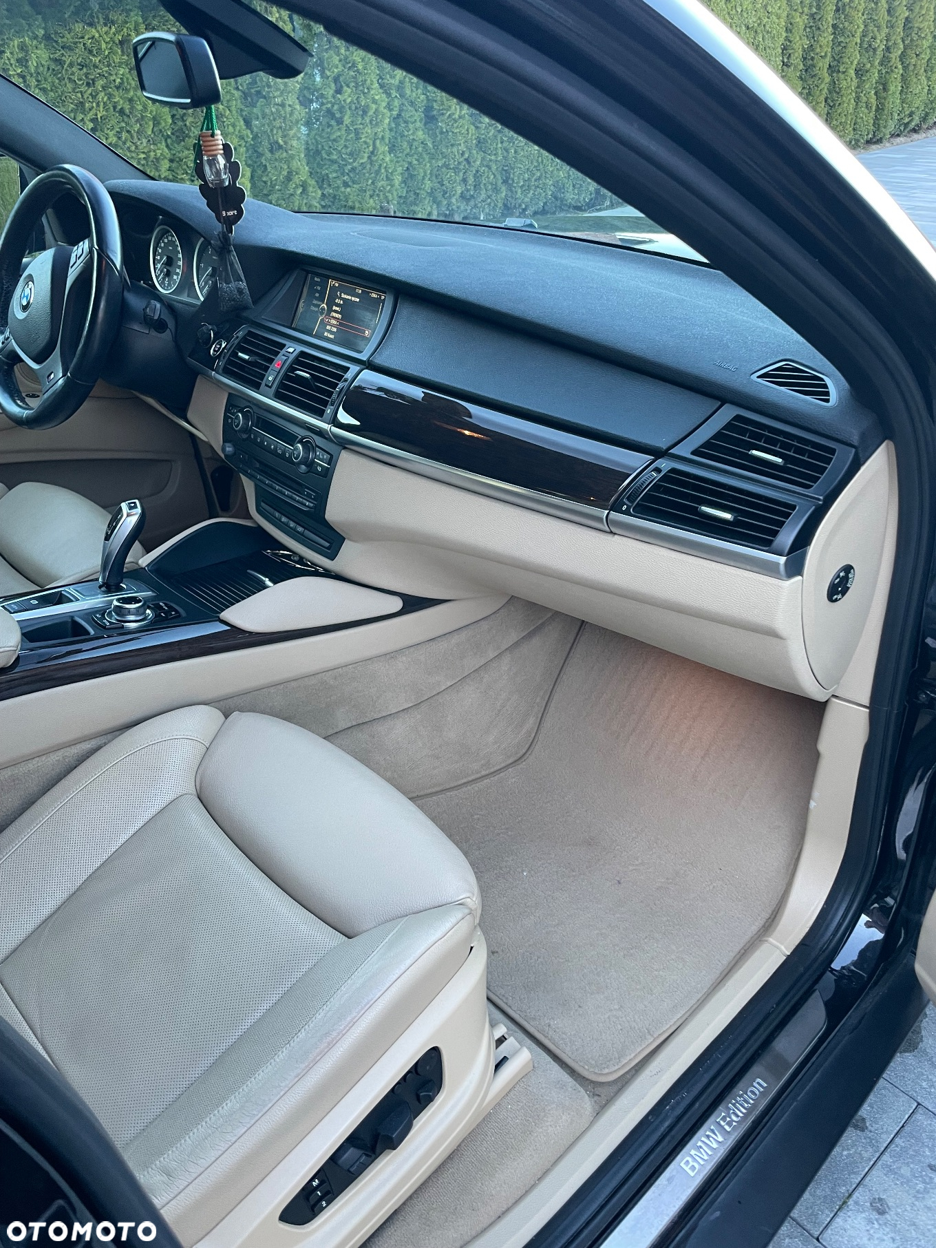 BMW X6 30d xDrive - 19