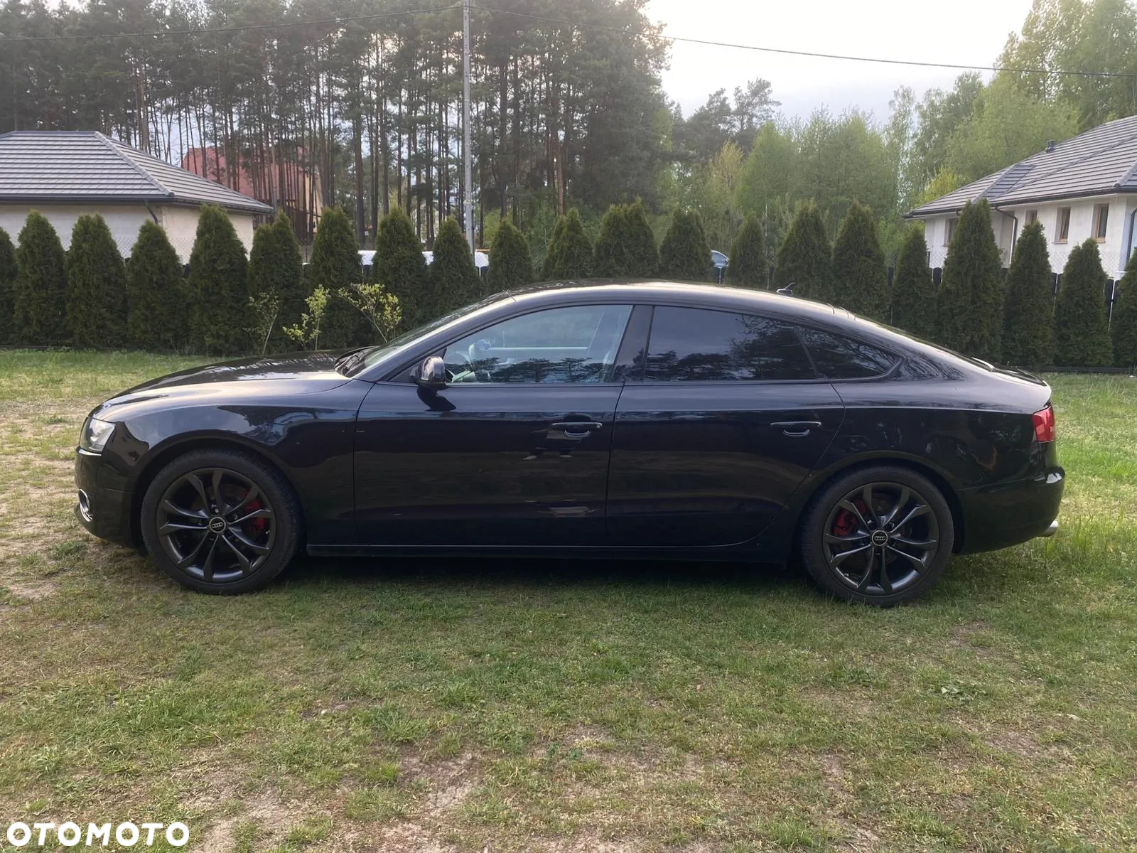 Audi A5 2.0 TDI Sportback DPF - 12