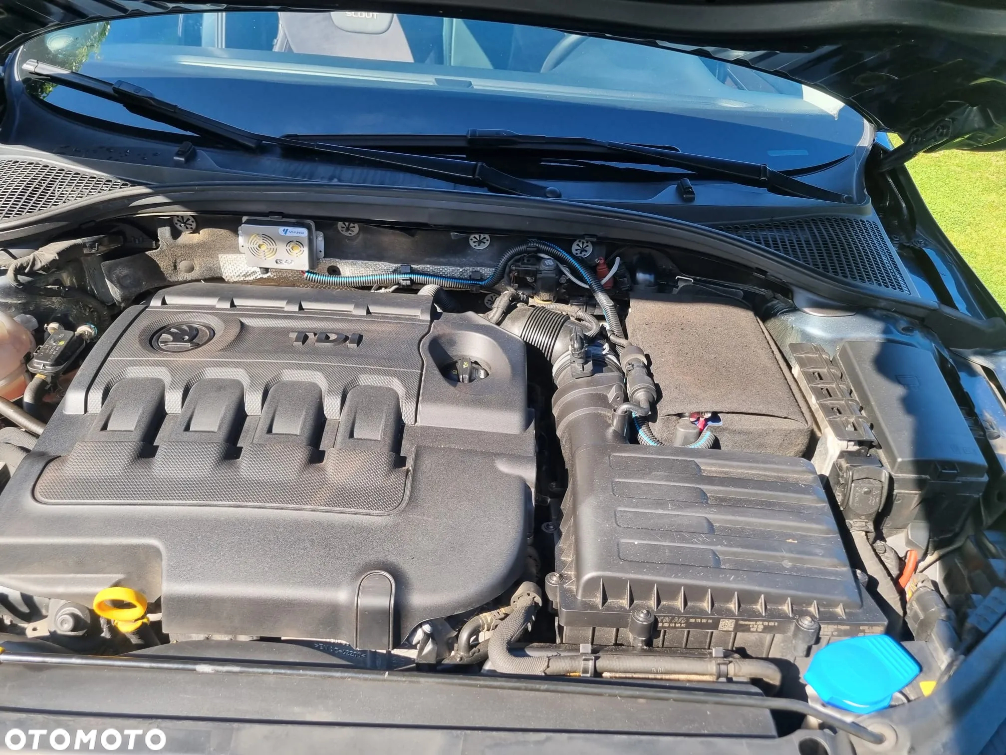Skoda Octavia Scout 2.0 TDI 4x4 DSG - 14