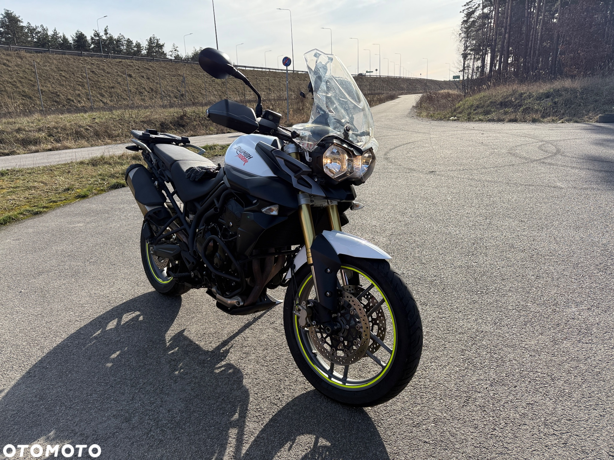 Triumph Tiger - 8