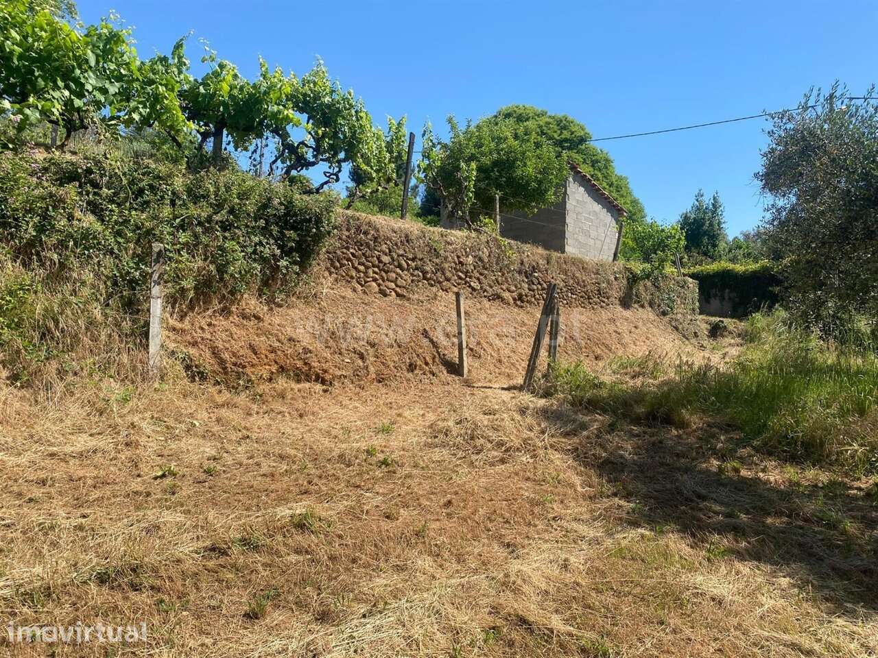 Terreno / Covilhã, Paul - Grande imagem: 4/5