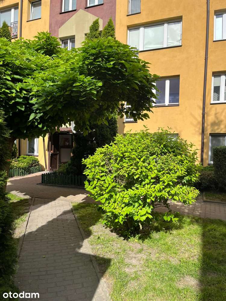 Przytulne mieszkanie w przepięknej okolicy