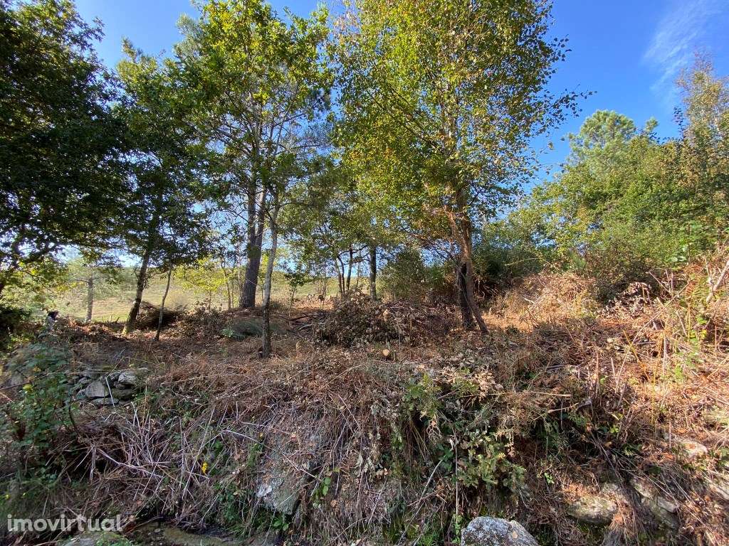 Terreno para construção. - Grande imagem: 3/10