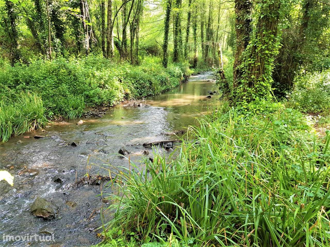 Terreno com ruinas em Marmelete - Grande imagem: 3/11