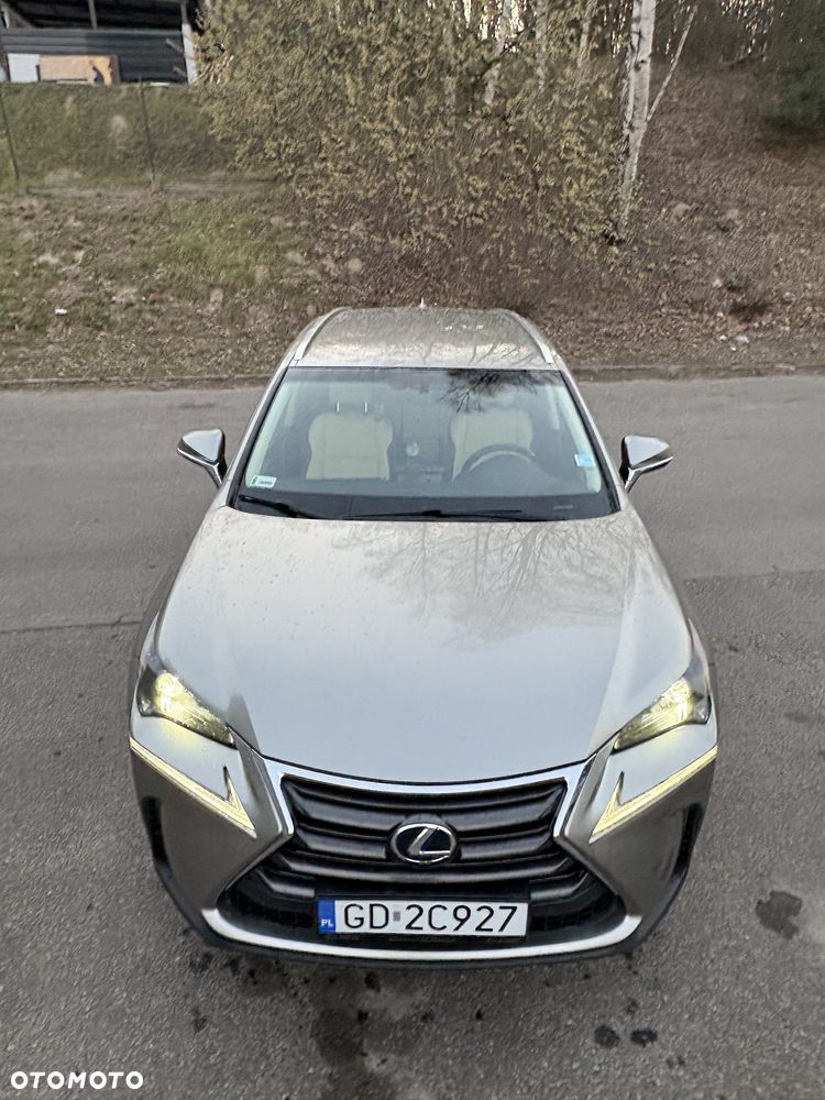 Lexus NX 300h Comfort AWD - 1