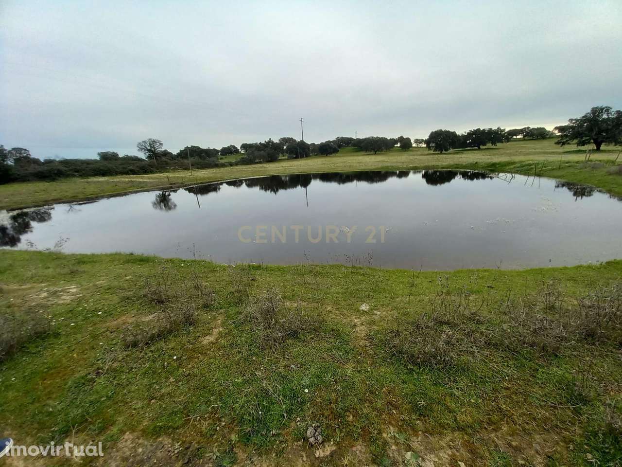 Herdade com 17,2ha na localidade de  Zebreira - Grande imagem: 5/34