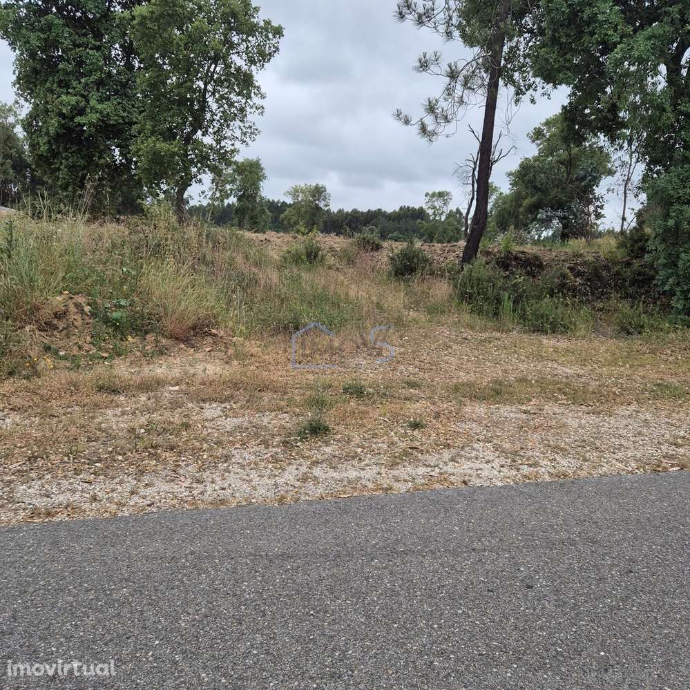 Terreno com 4.560 m² e Viabilidade de Construção – Casais, FZZ - Grande imagem: 4/20