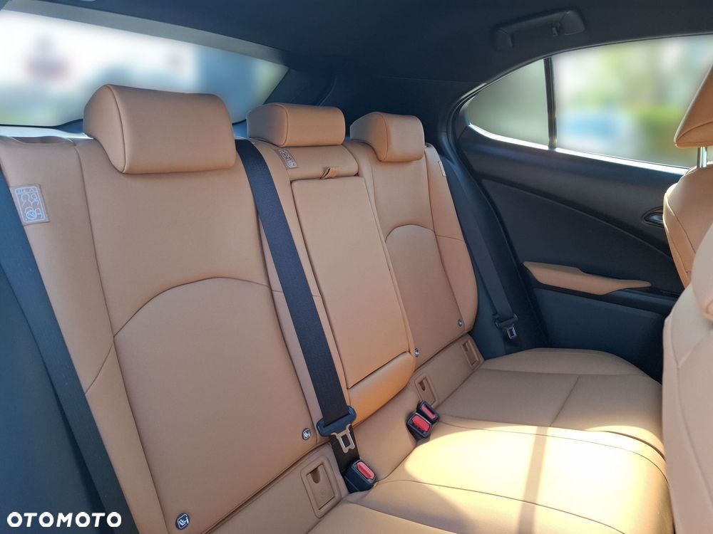 Lexus UX 200 GPF F Sport Design+ 2WD - 19