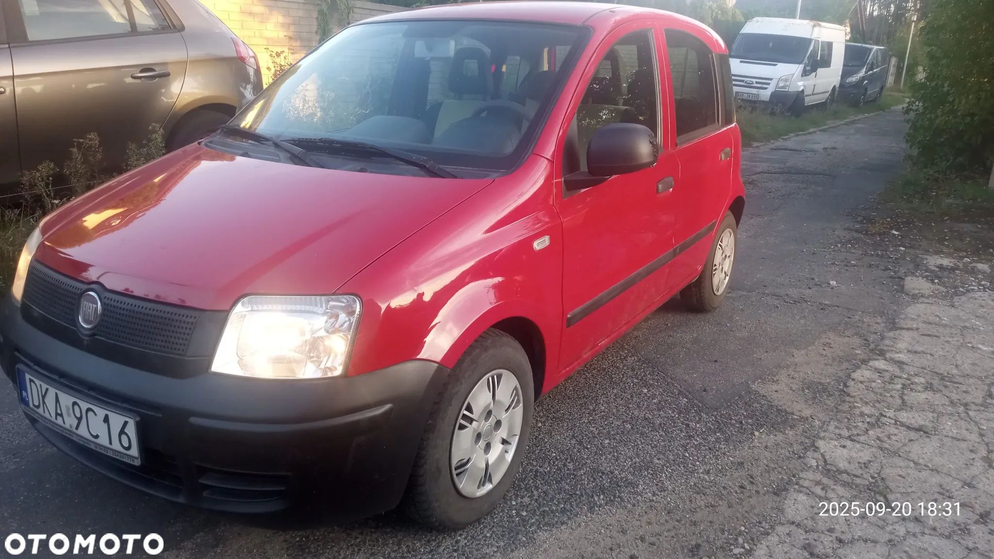 Fiat Panda - 1