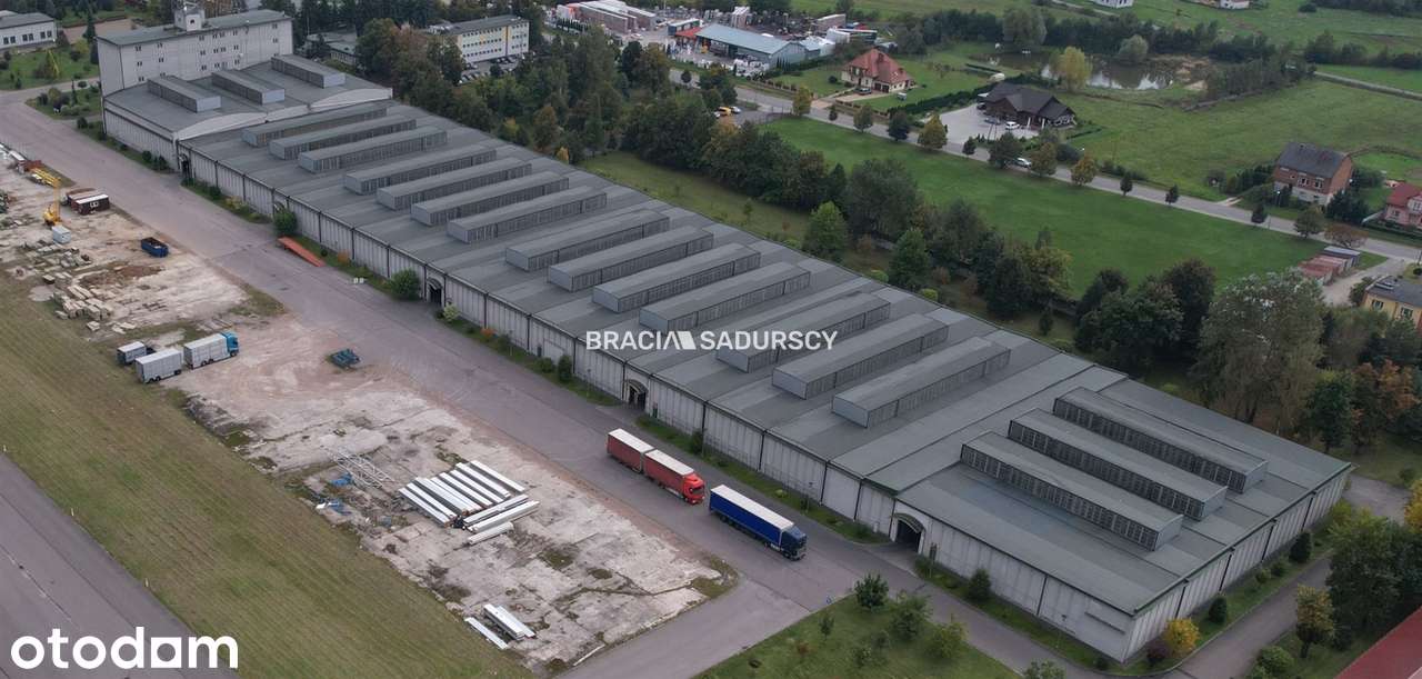 Nieruchomośc z przeznaczeniem pod fabrykę / centr - Pełny obrazek: 3/9