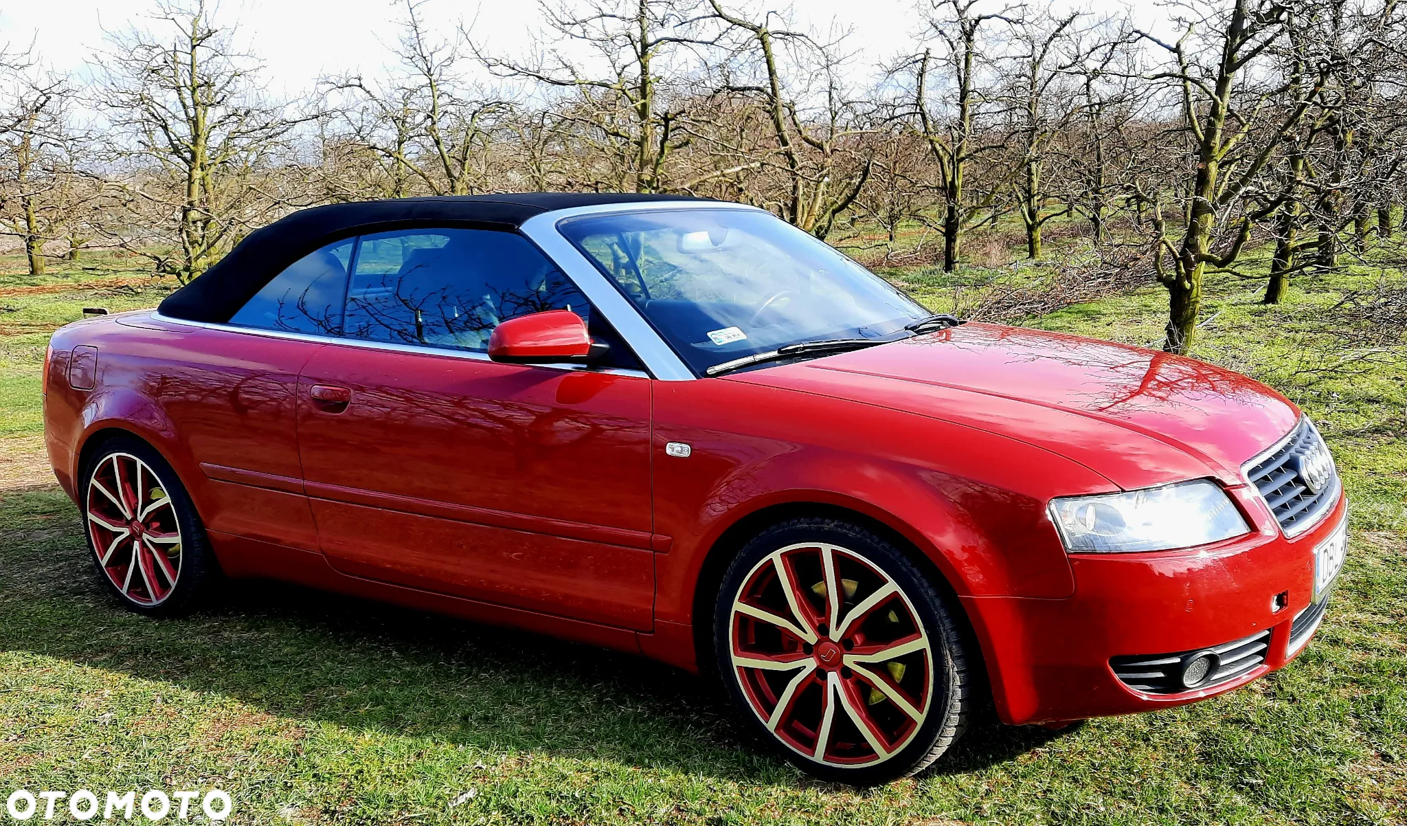 Audi A4 Cabriolet 1.8 T - 31