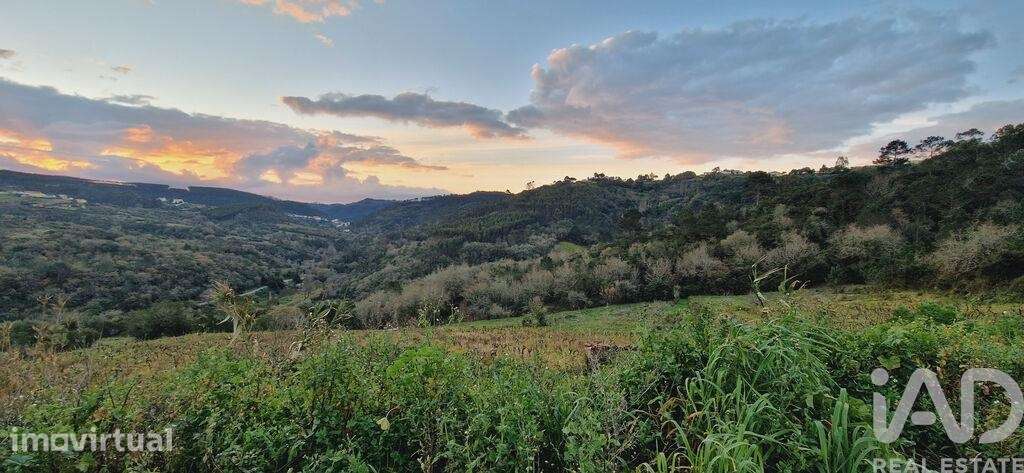 Terreno em Mafra de 1375,00 m2 - Grande imagem: 2/21