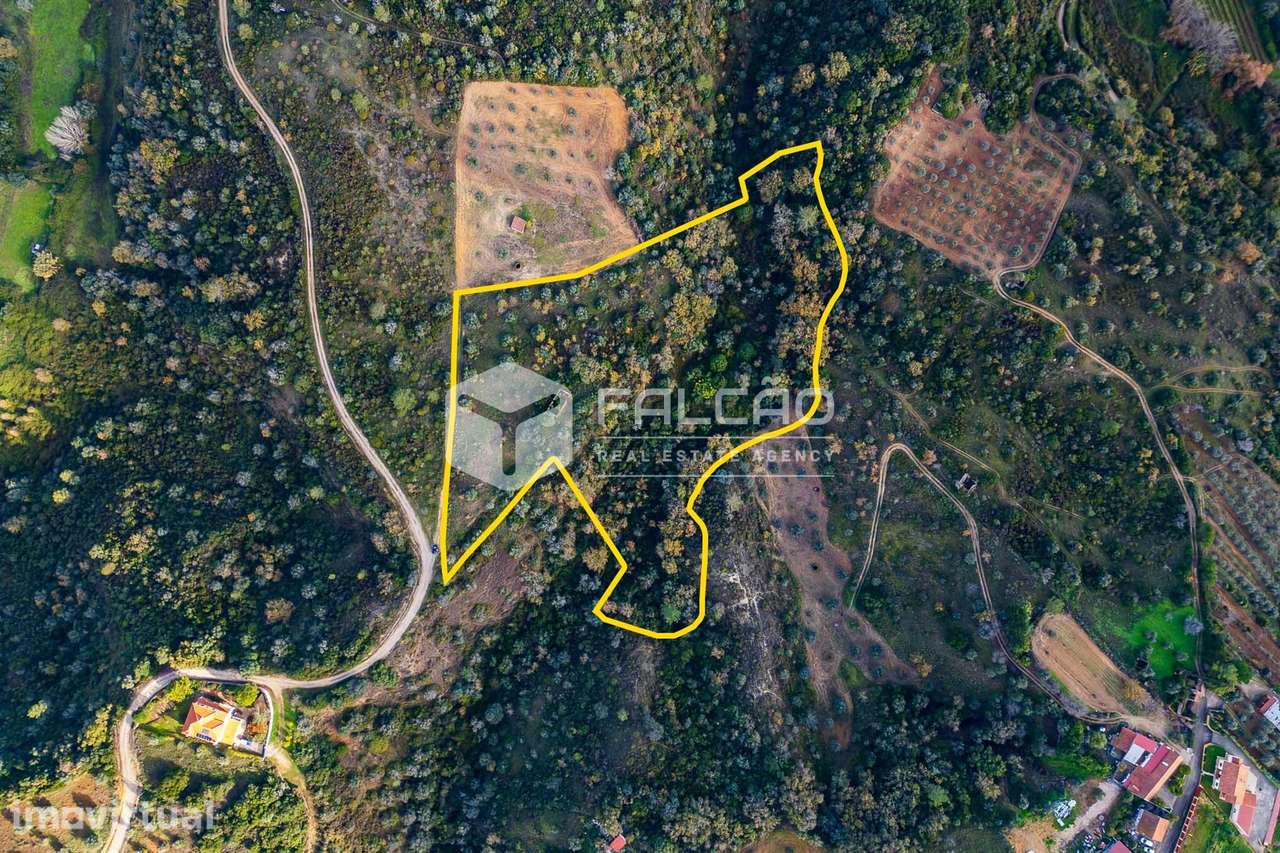 Terreno Misto  Venda em Azoia de Cima e Tremês,Santarém - Grande imagem: 3/28