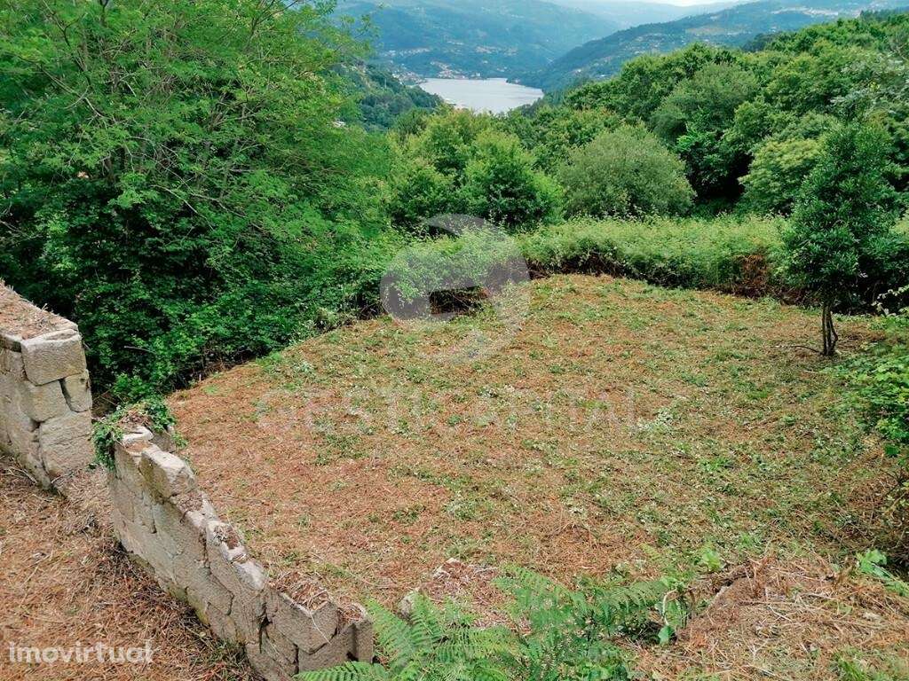 Quinta com vistas para o Douro - Grande imagem: 3/29