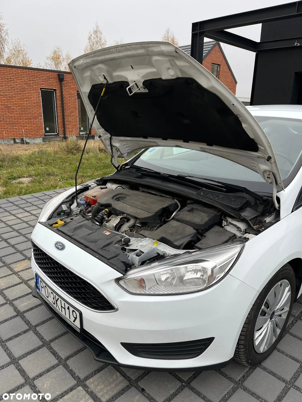 Ford Focus - 16