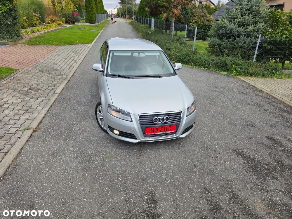Audi A3 1.6 Ambition - 36