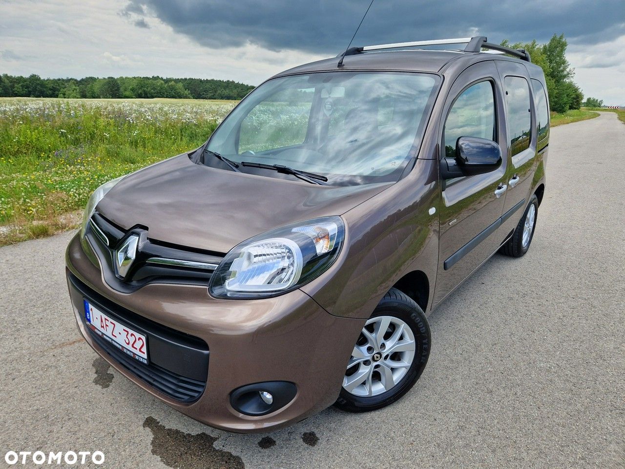 Renault Kangoo - 1