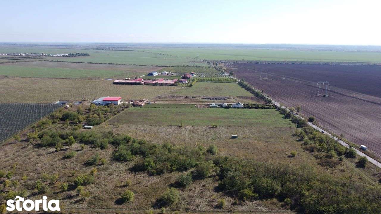 Oportunitate investitie teren  - DN4 - Imagine principală: 3/9