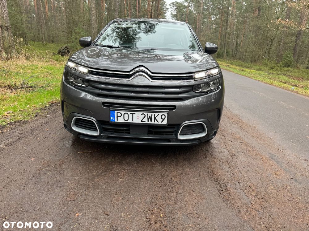 Citroën C5 Aircross BlueHDI 130 S&S EAT8 SHINE PACK - 13