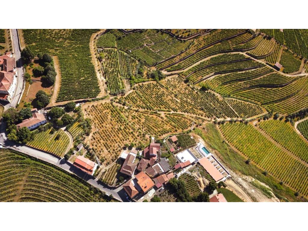 Quinta no Douro - Grande imagem: 2/8