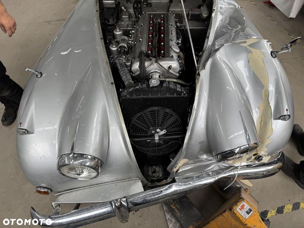 Jaguar Inny - 6