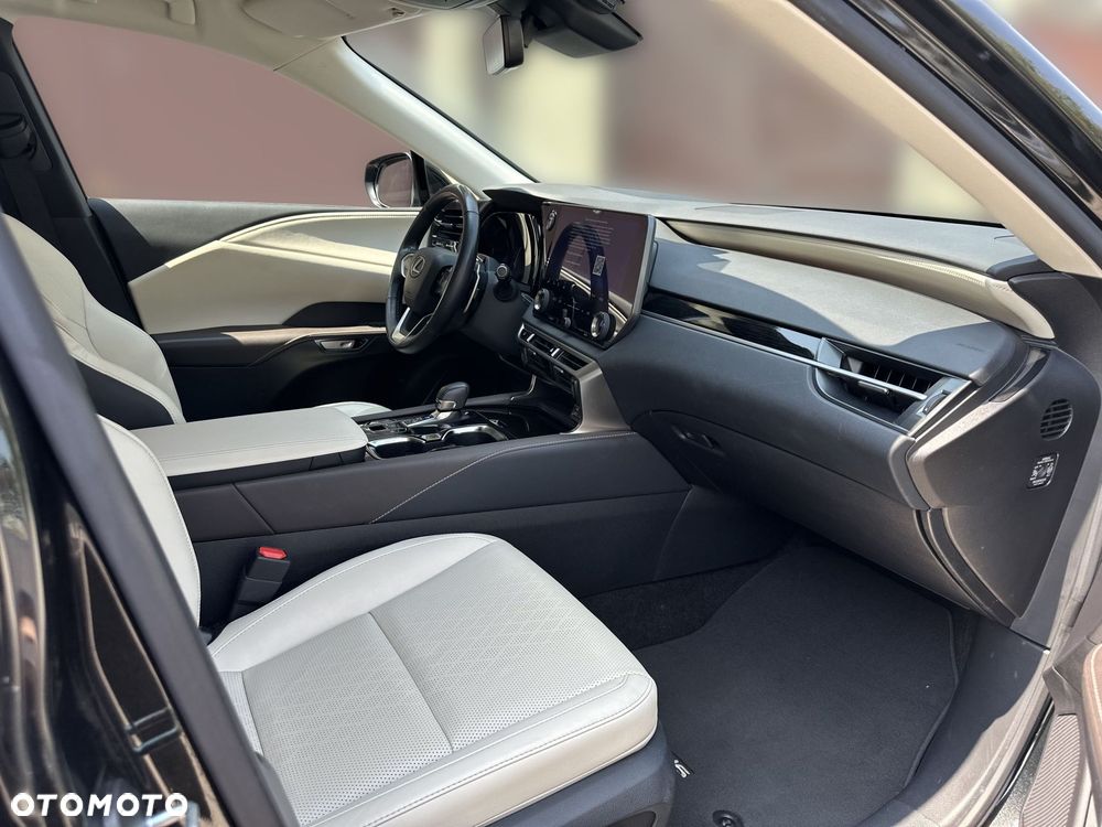 Lexus RX - 13