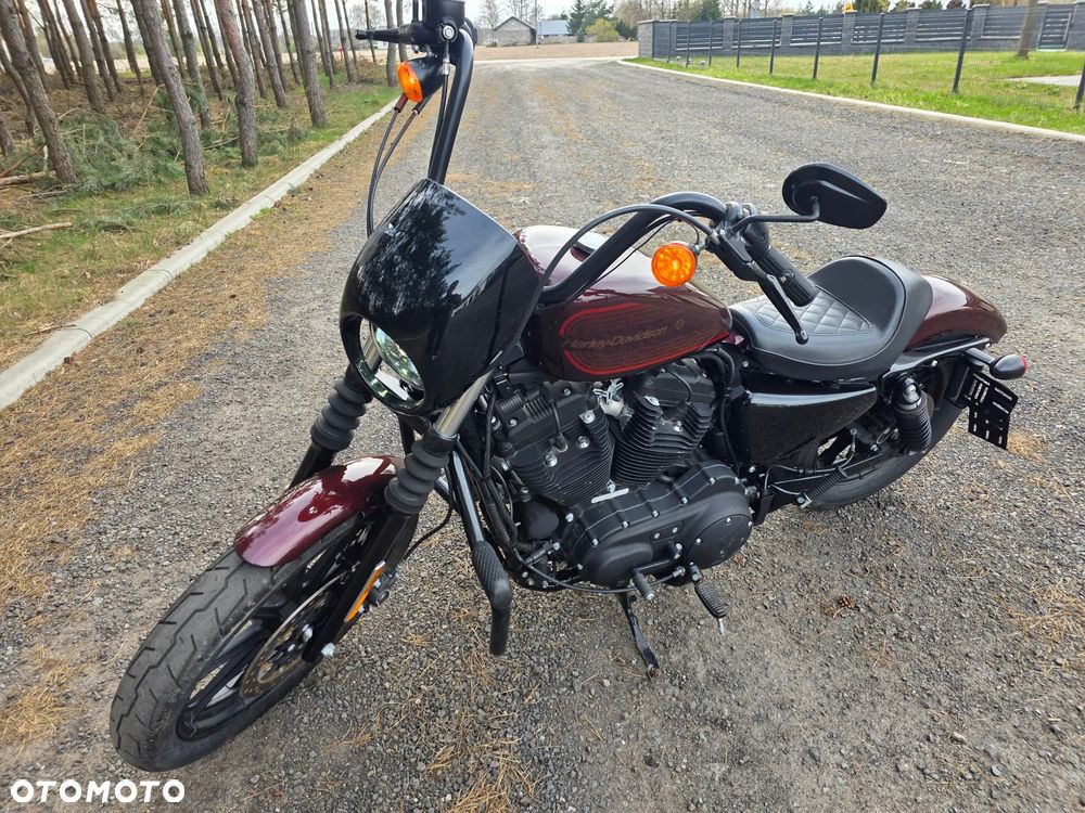Harley-Davidson XR 1200 - 3