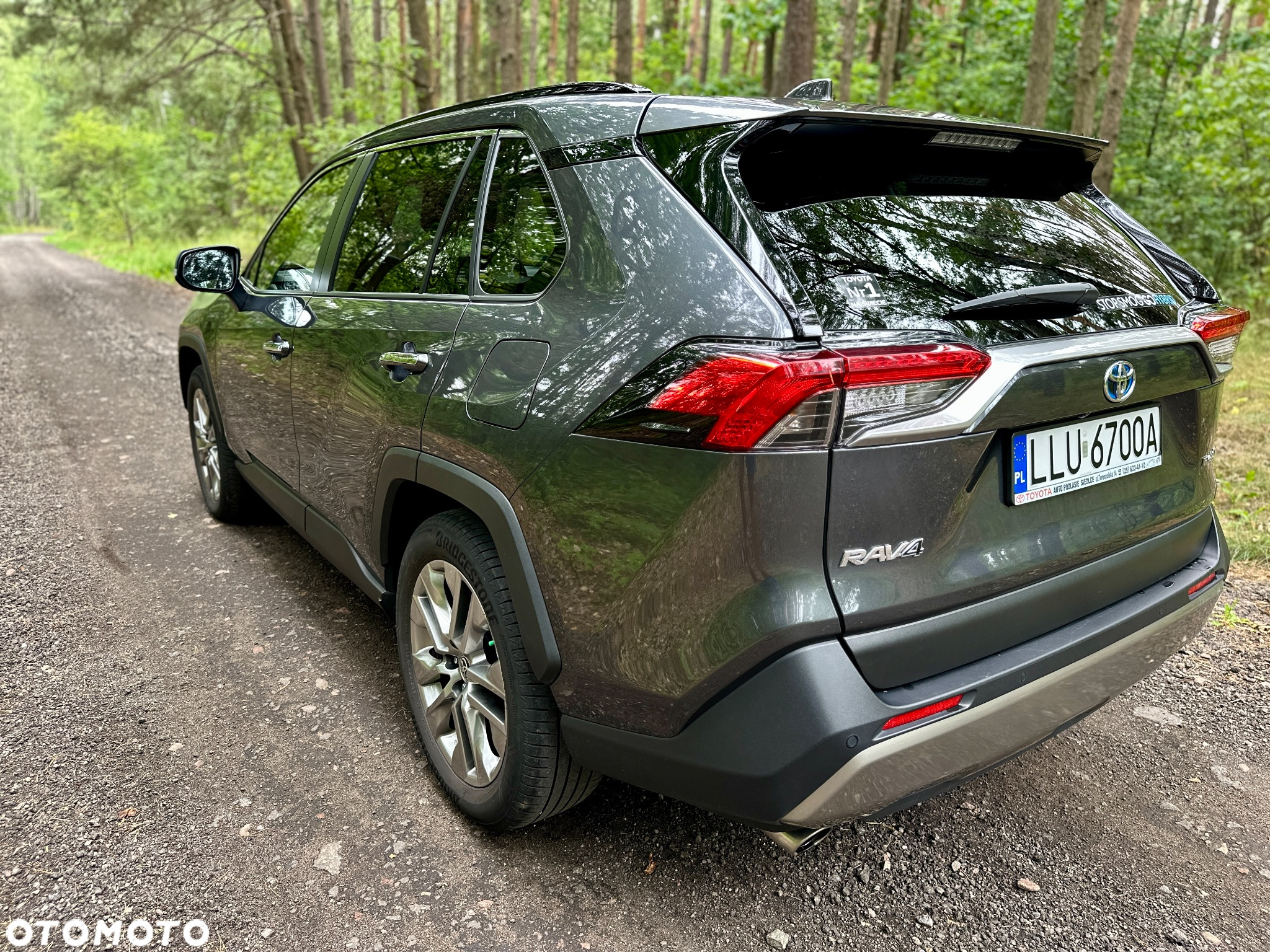 Toyota RAV4 2.5 Hybrid Executive 4x2 - 8