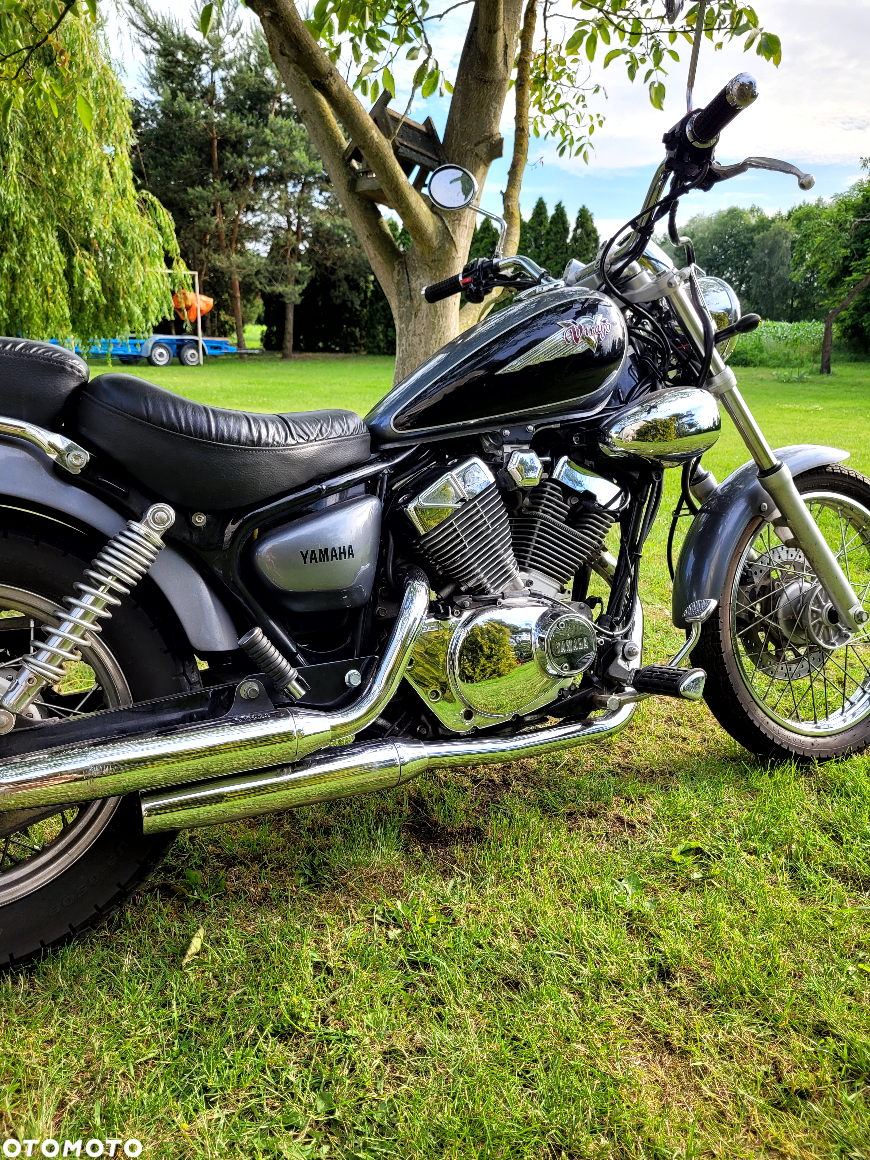Yamaha Virago - 6