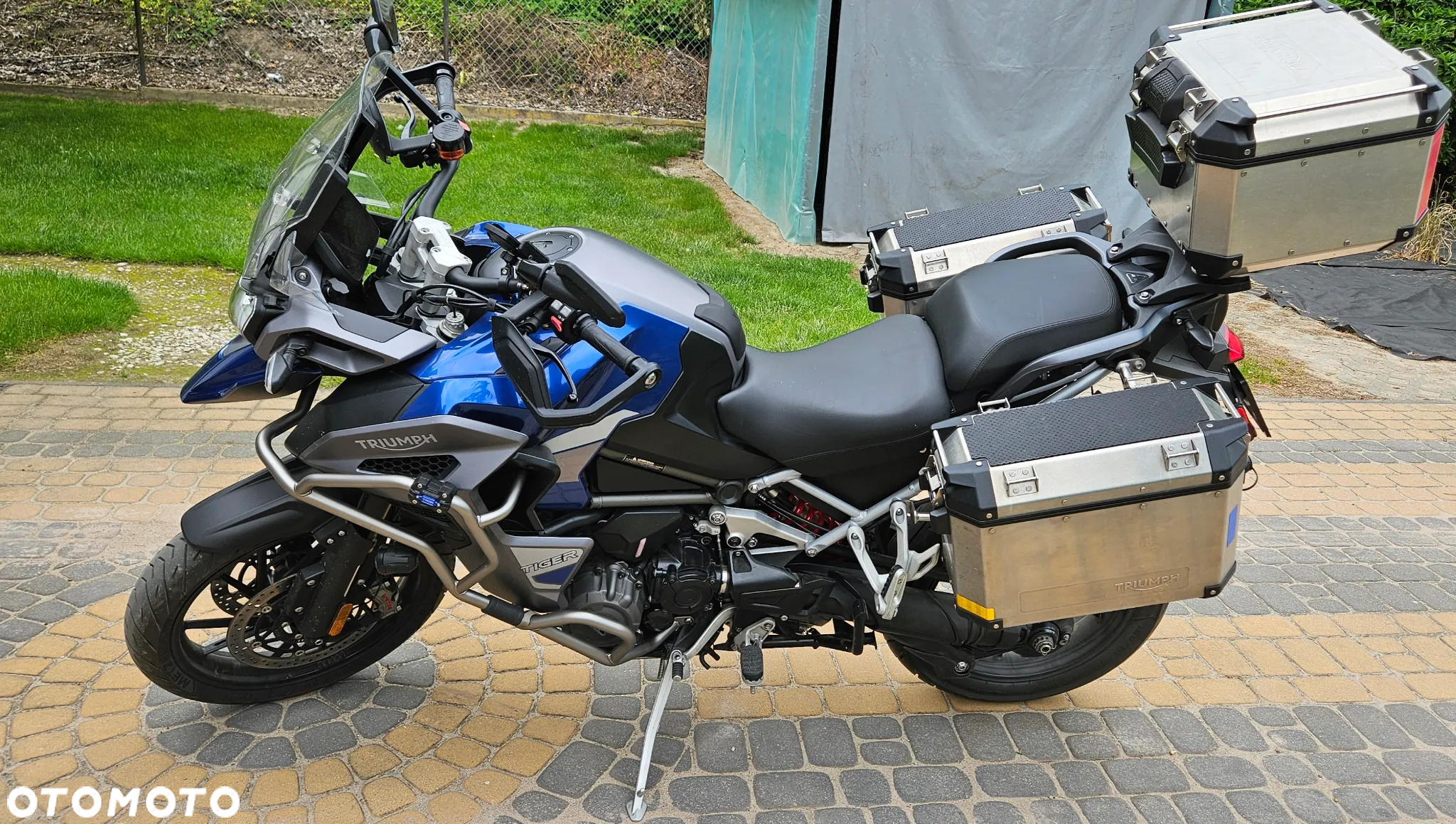 Triumph Tiger