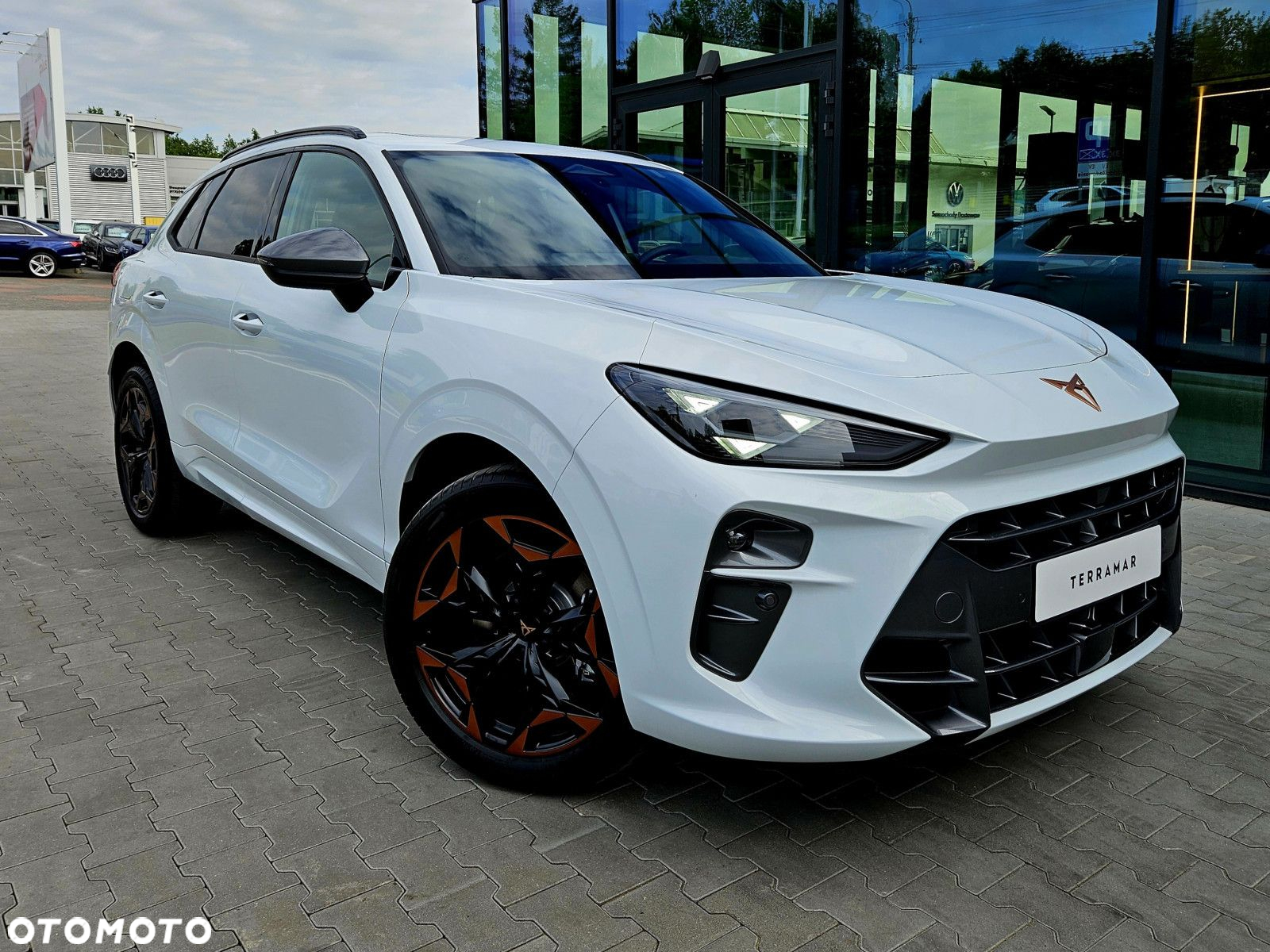 Cupra Terramar - 2