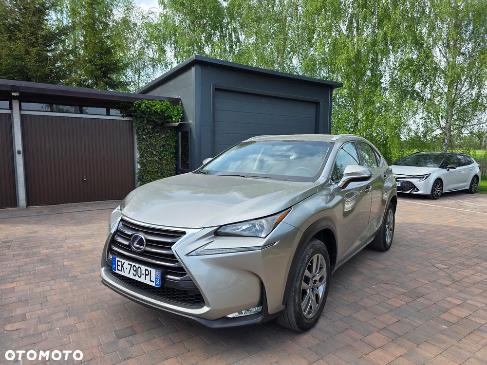 Lexus NX 300h - 1