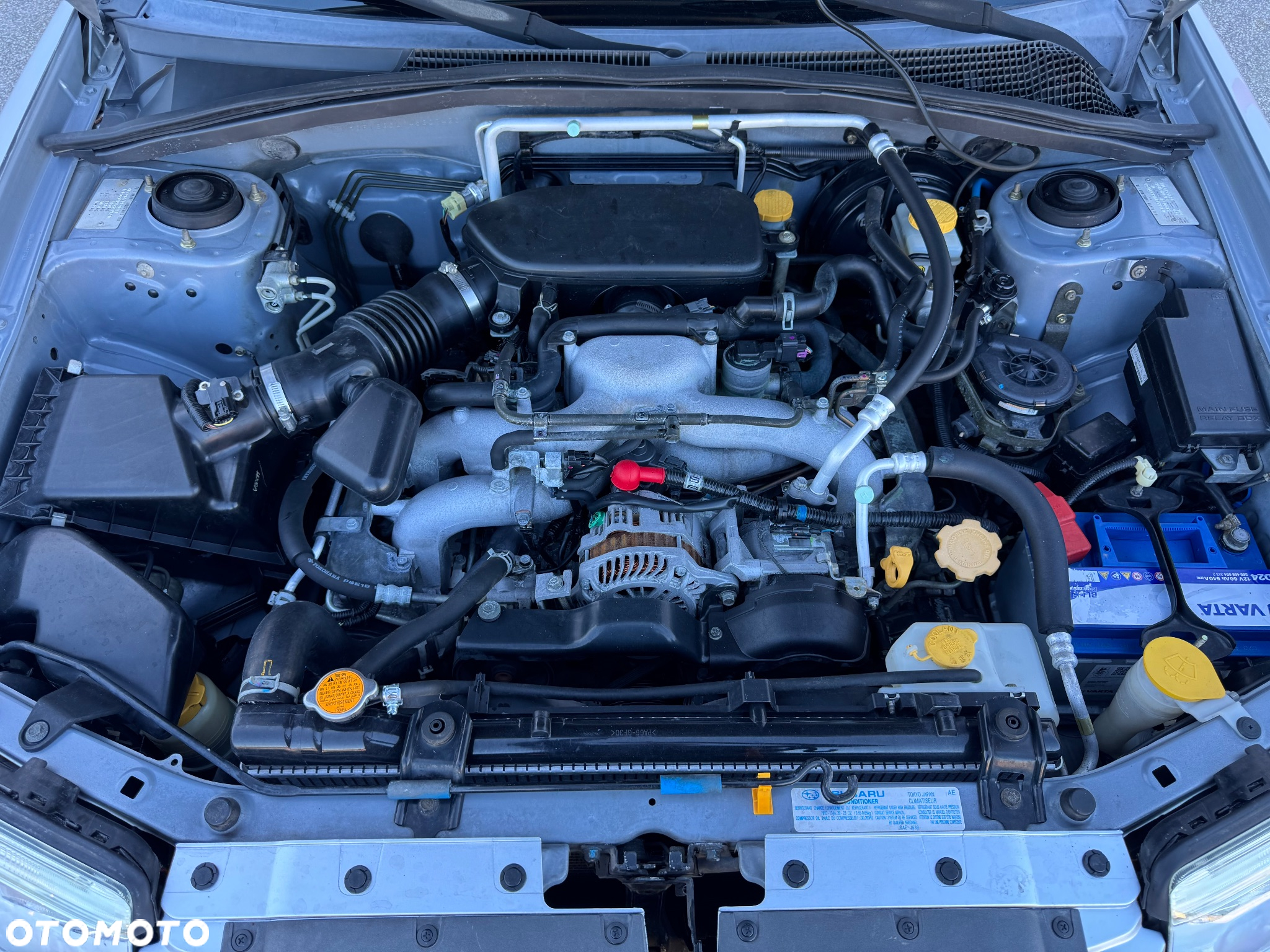 Subaru Forester 2.0X Celebration - 40