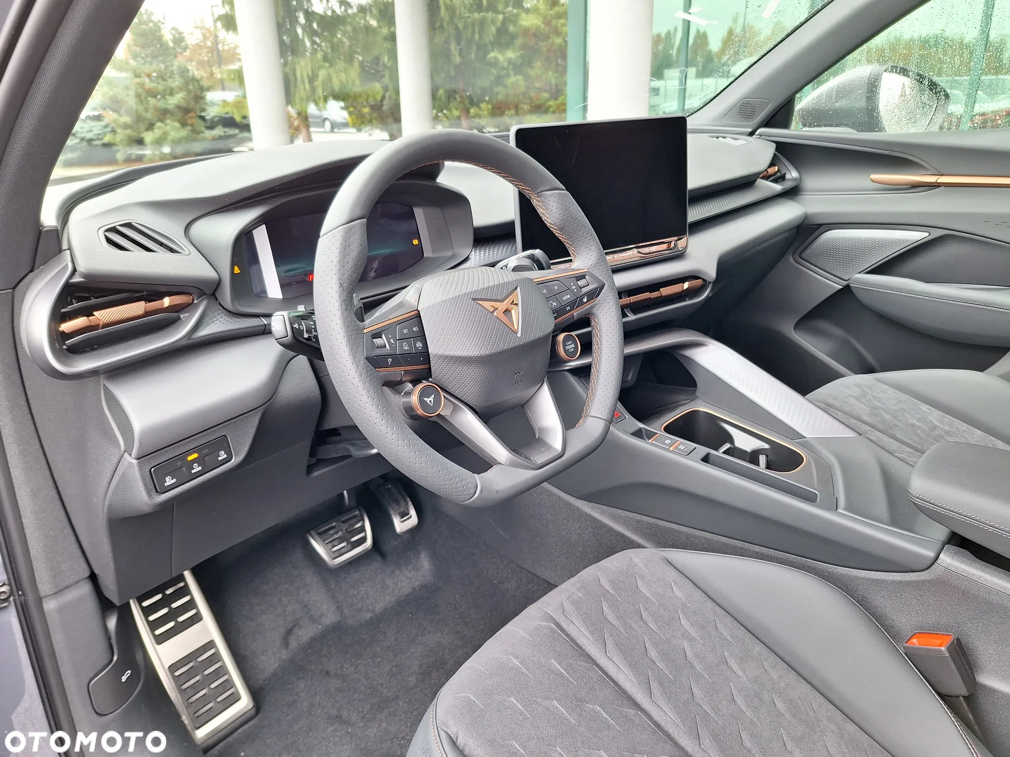 Cupra Terramar 2.0 TSI 4Drive Advantage Edition DSG - 8