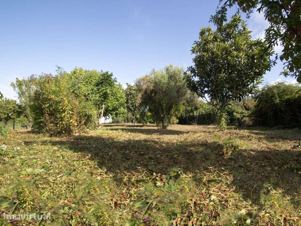 Terreno para construção em altura com 1.285 m² | Ribeira , Ponte de... - Grande imagem: 5/17