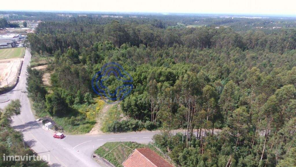 Terreno Industrial em São Vicente Pereira com 24 400metros - Grande imagem: 4/10