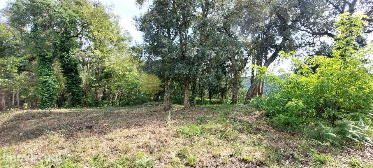 Terreno com Vista sobre o Rio – Quinta das Luzes, Jovim – Gondomar - Grande imagem: 5/22