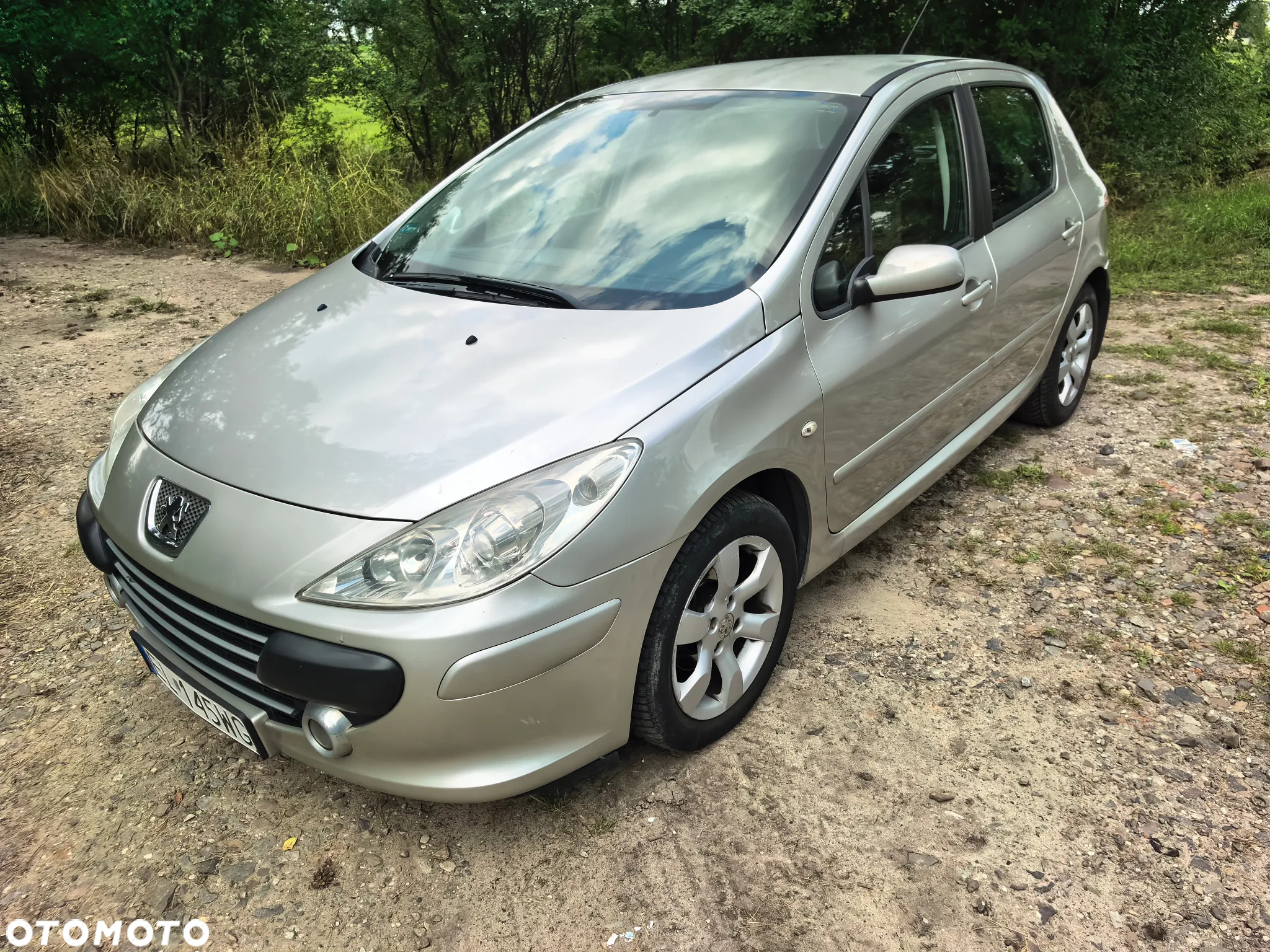 Peugeot 307 1.6 Oxygene - 12