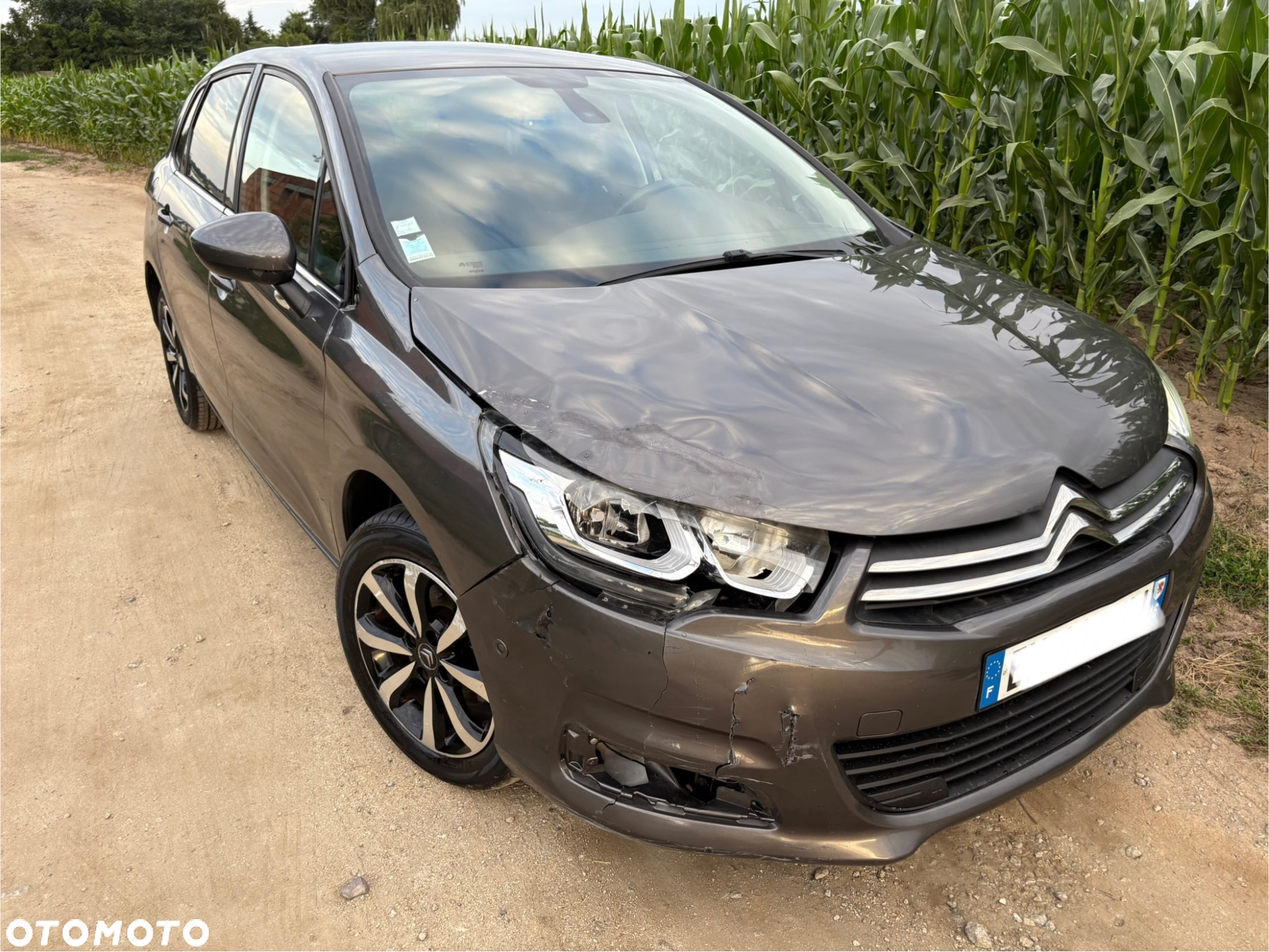 Citroën C4 BlueHDi 120 Stop&Start Shine - 6