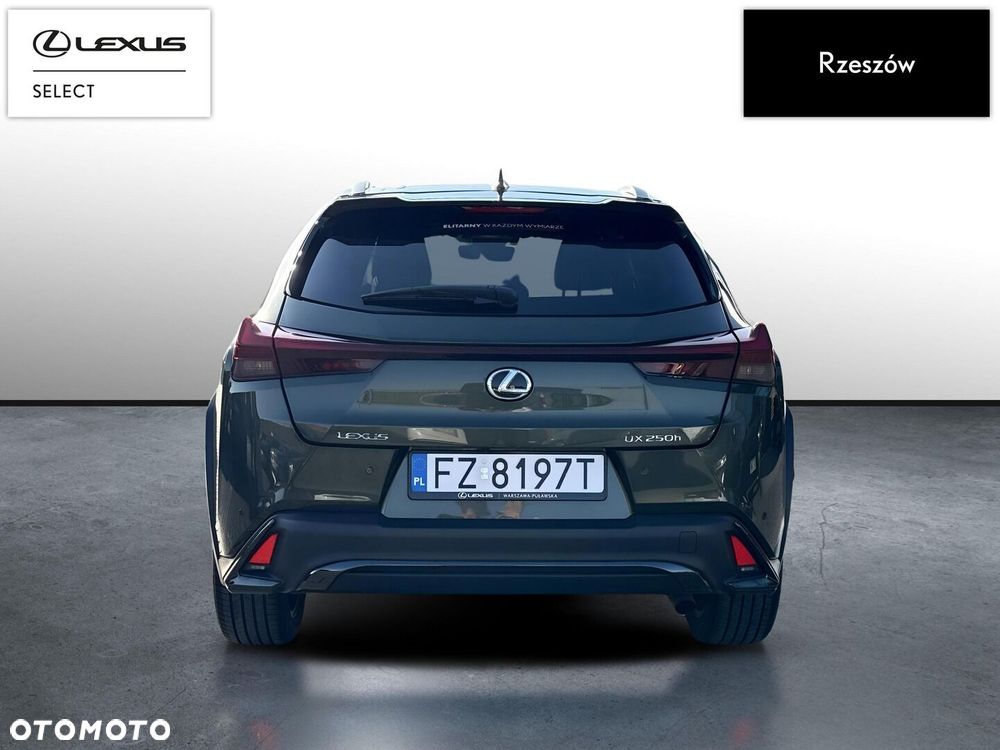 Lexus UX 250h GPF F Sport Design 2WD - 4
