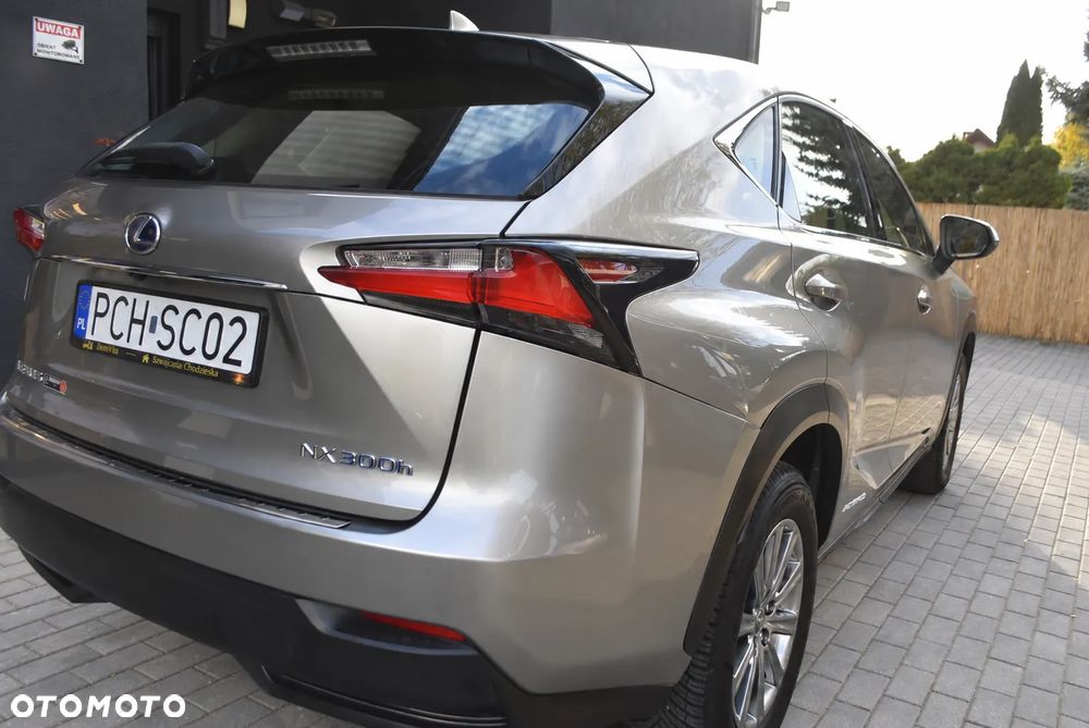 Lexus Nx 2017 photo 5