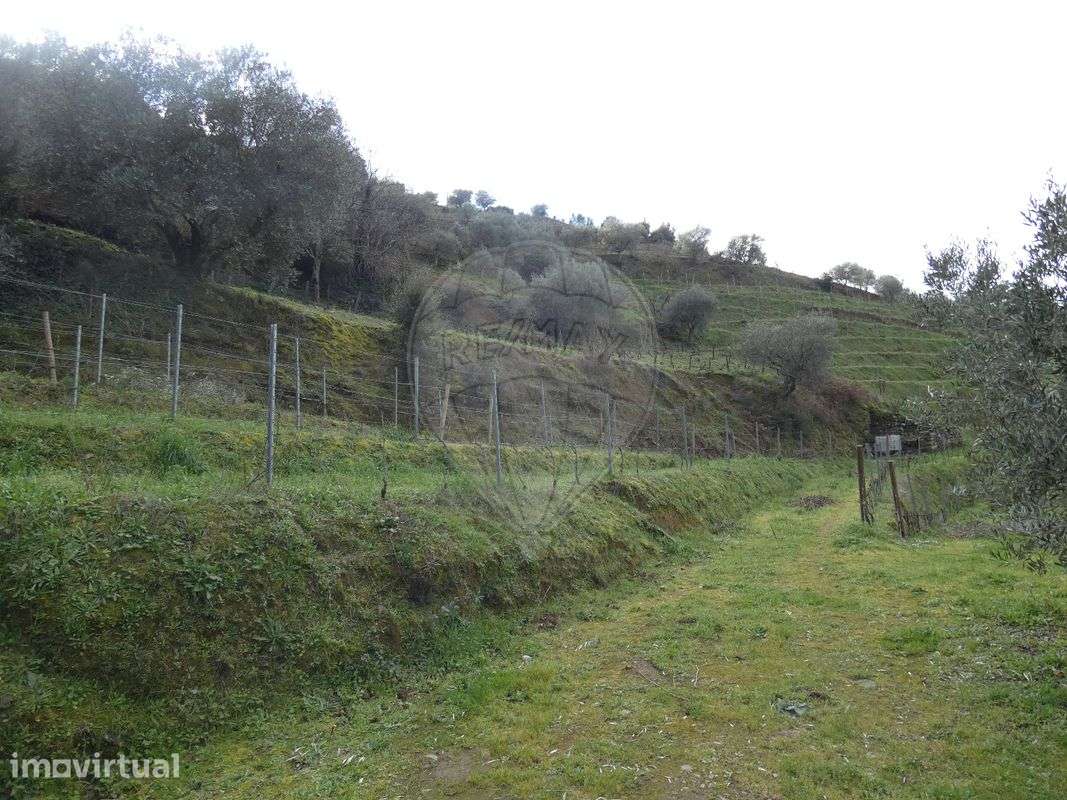 Terreno  para venda - Grande imagem: 3/14
