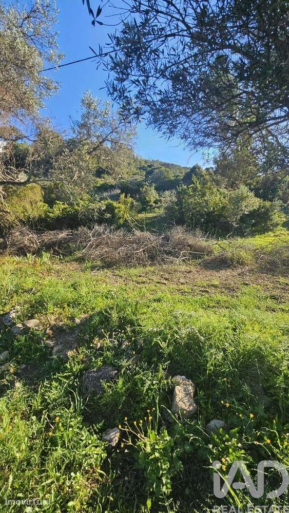Terreno em Loulé (São Clemente) - Grande imagem: 3/8