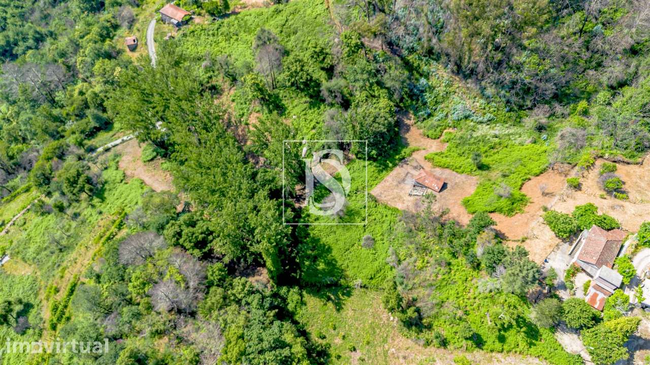 Moradia para Restaurar T1 Venda em Gove,Baião - Grande imagem: 3/39