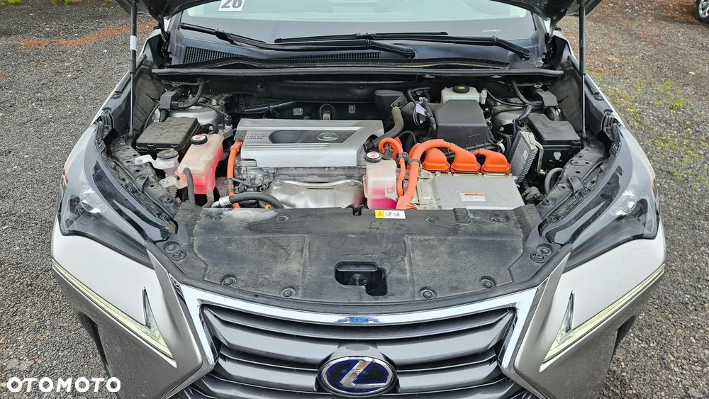 Lexus NX 300 AWD - 6