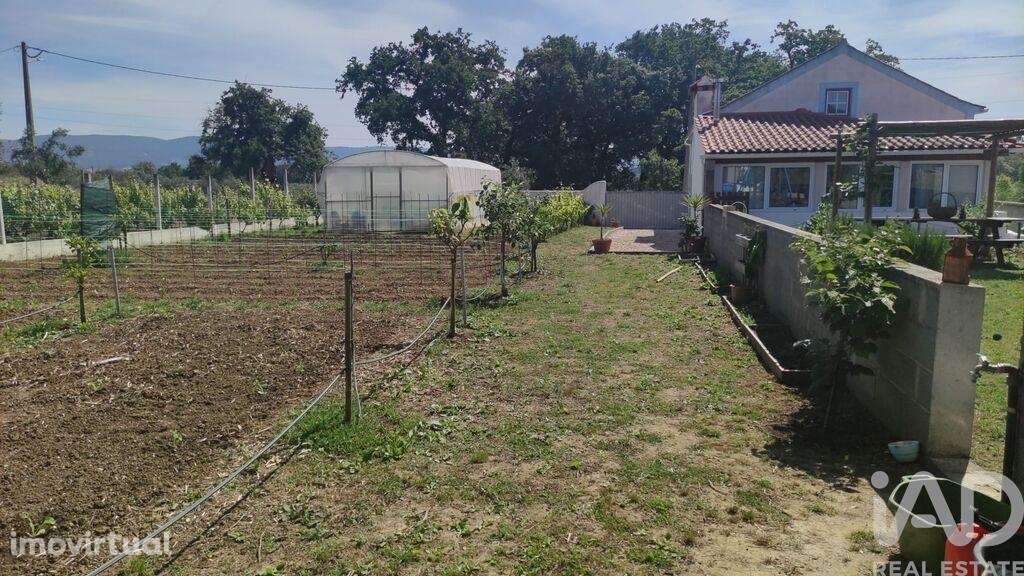 Casa / Villa T3 em Chão de Couce de 86,00 m2 - Grande imagem: 4/25