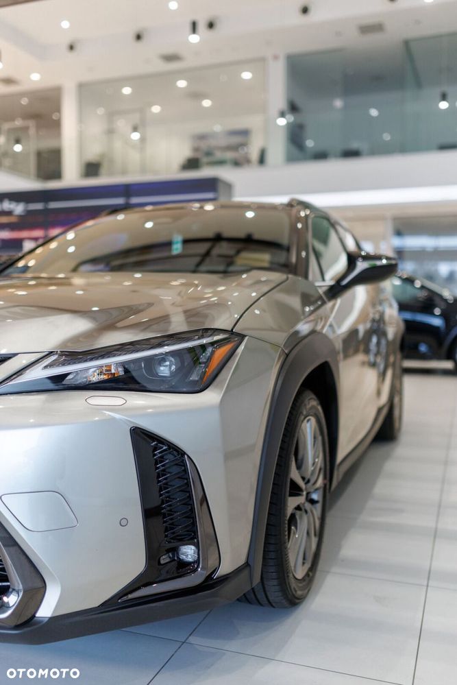 Lexus UX 300h F Sport Design AWD - 13