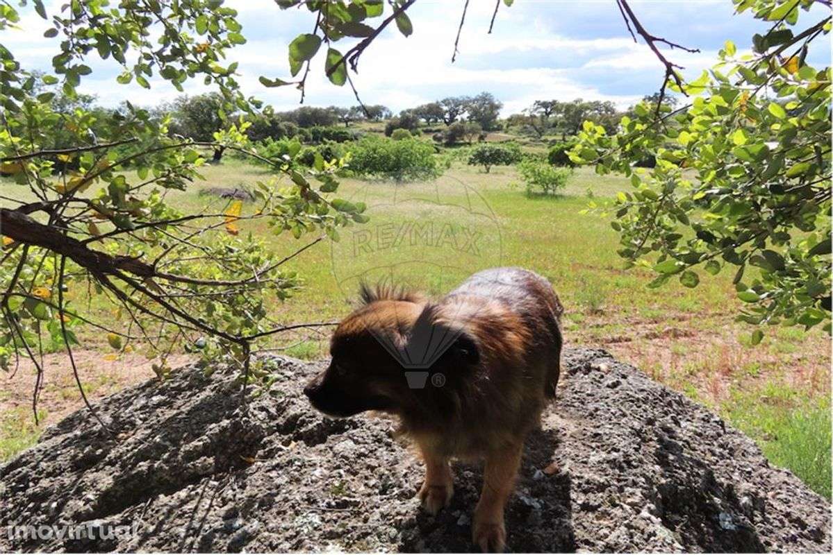 Quinta T0 para Venda - Grande imagem: 5/35