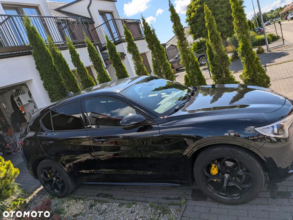 Alfa Romeo Stelvio 2.0 Turbo Veloce Q4 - 3